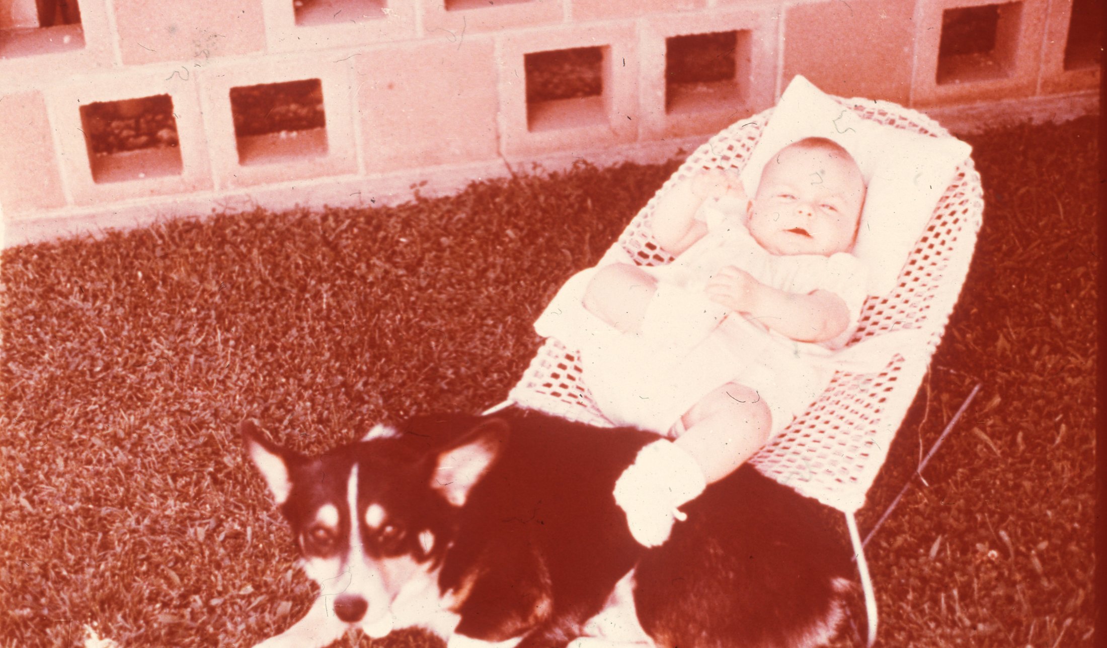 1970-80 - KC - Baby And Dog